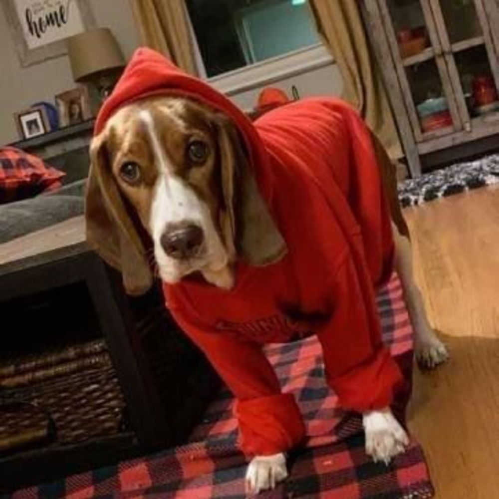 Meet your Posher, Jami